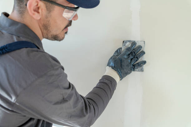  Sierra Ridge, CO Drywall & Painting Services Pros